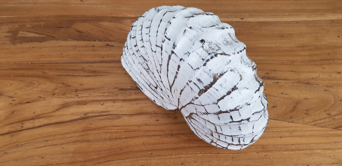 Coquillage en Bois