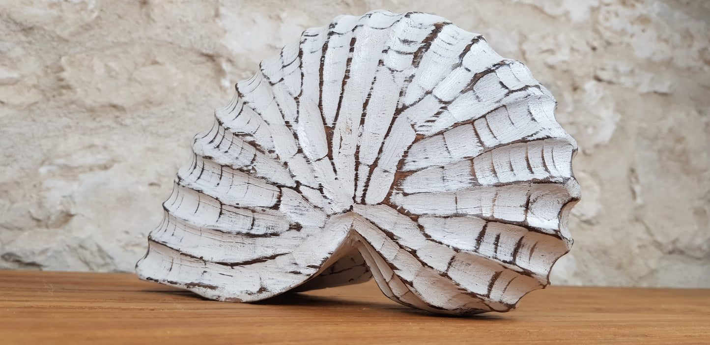 Coquillage en Bois
