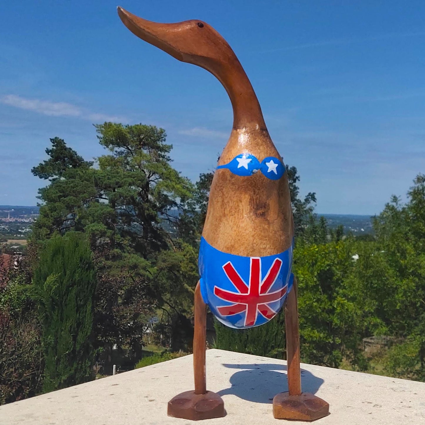 Canard en maillot anglais