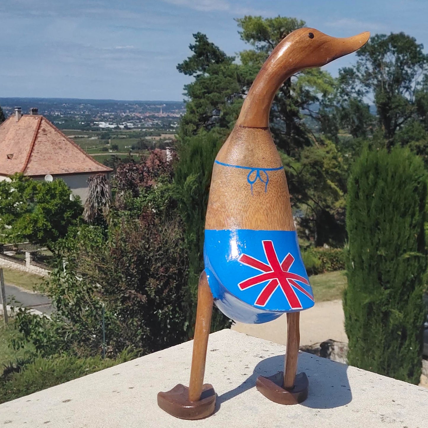 Canard en maillot anglais